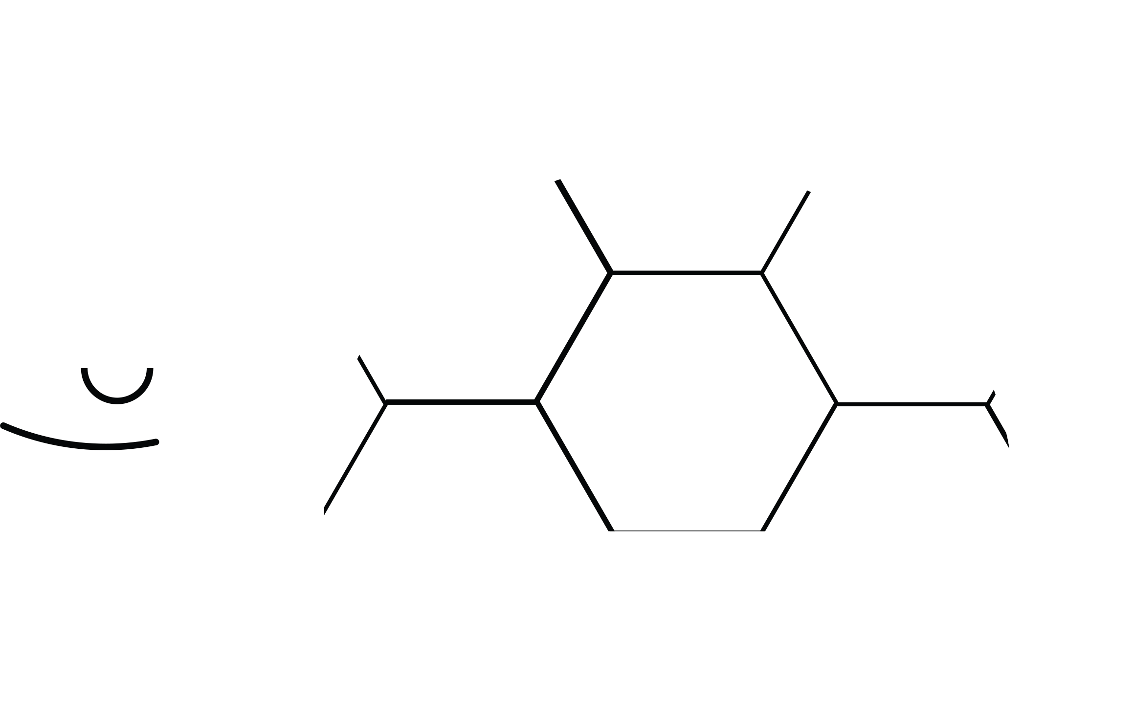 Roxy Turtle design